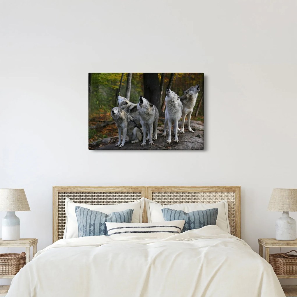 Kép - Farkasok a sziklán (90x60 cm)