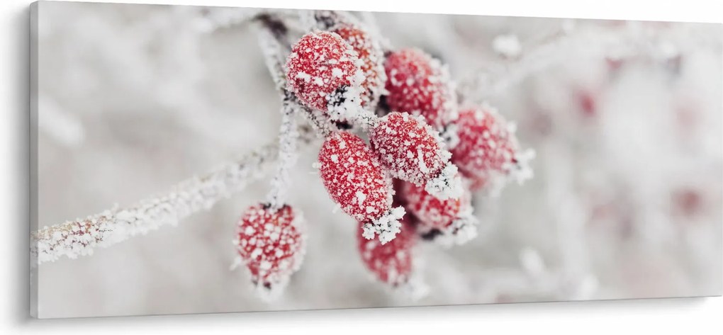Kép - Fagyasztott gyümölcsök (120x50 cm)