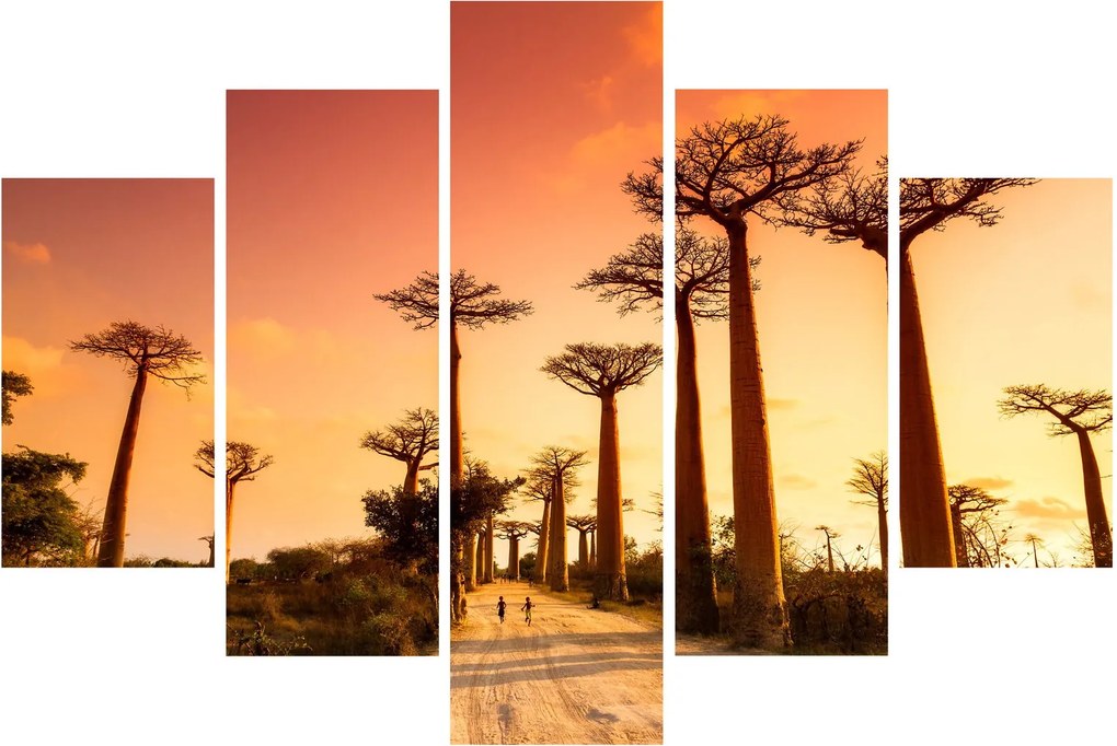 Kép - Naplemente a Baobab Alley-ben (150x105 cm)