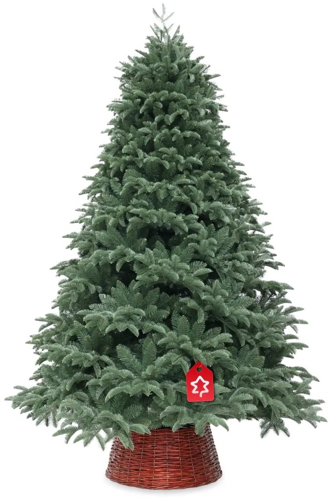 Oregon jegenyefenyő 180 cm