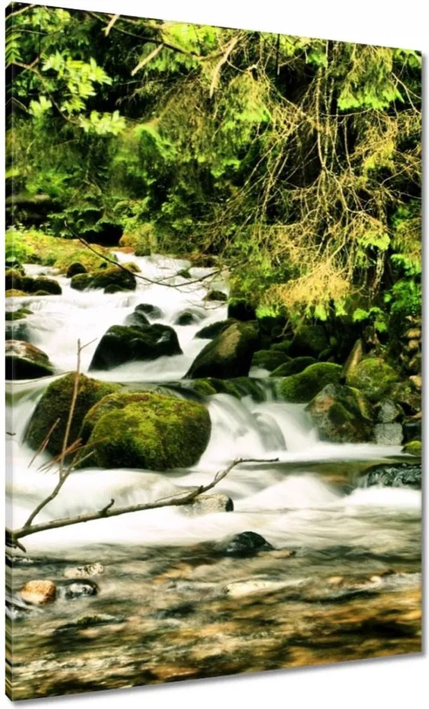 Vászonkép 70x100 Folyó a Tátrában