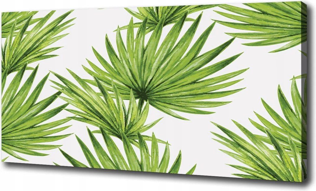Vászonkép Trópusi levelek 100x70 cm