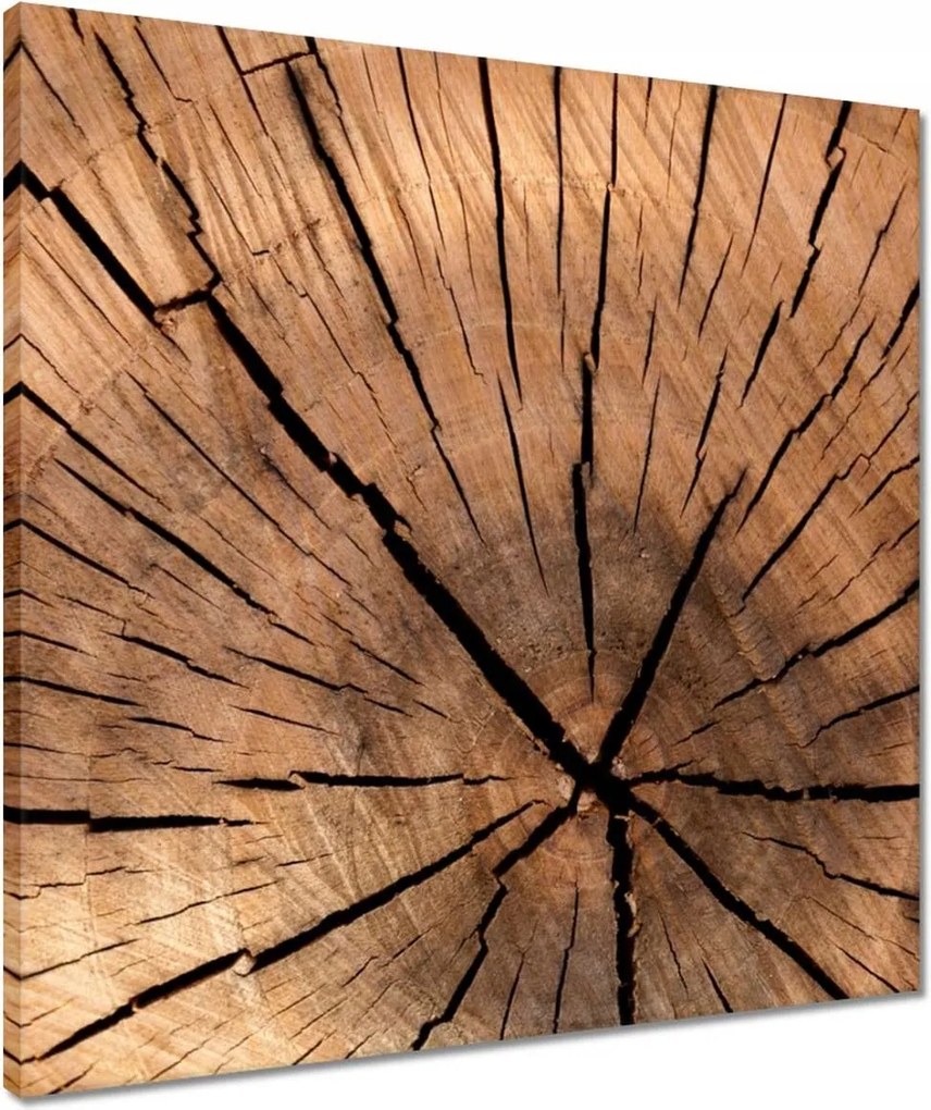 Vászonkép 50x50 Befőttesüvegek