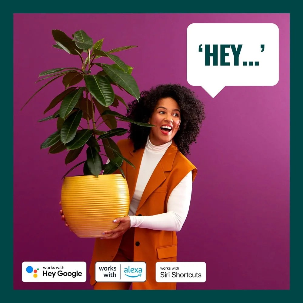 LED okos izzó szett 3 db-os E27, 9 W – WiZ