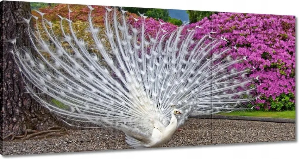 Vászonkép 180x90 Madarak