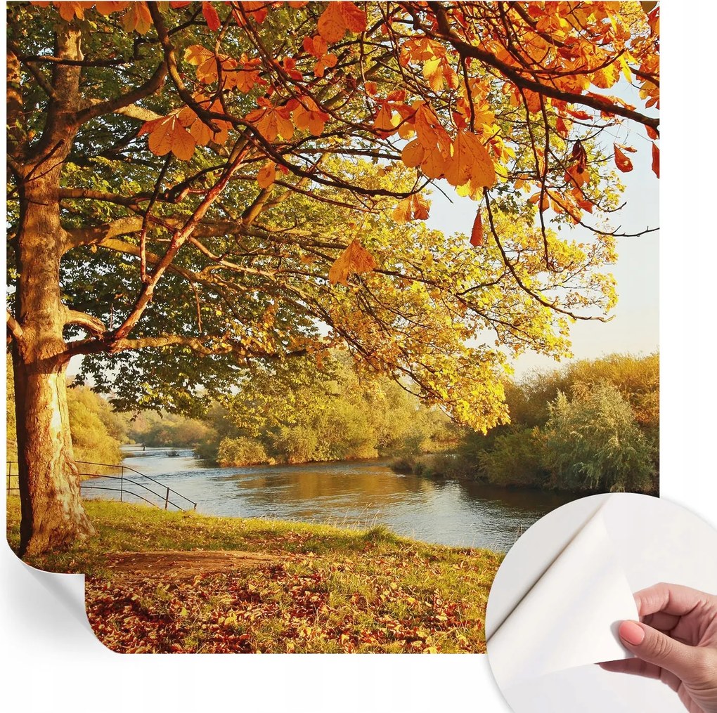 Öntapadós fotótapéta Divatos Őszi tengerpart 250x250 cm