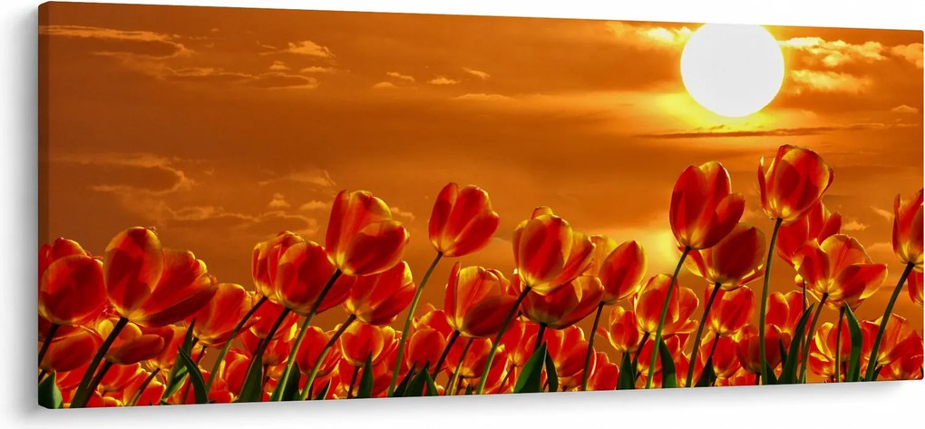 Kép egy virágzó mező tulipánokkal (120x50 cm)