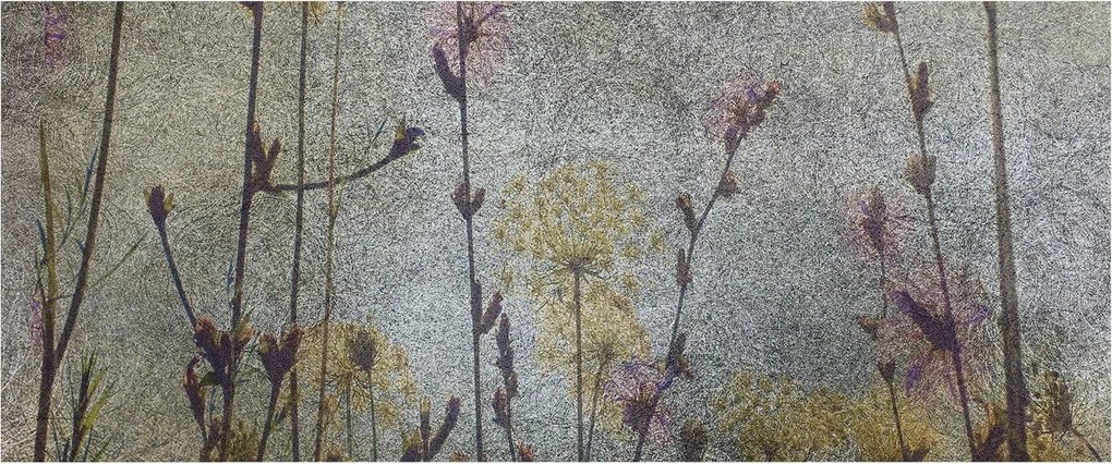 Fotótapéta Flizelin Tapéta Hálószoba és Nappali Mezei virágok 250x104