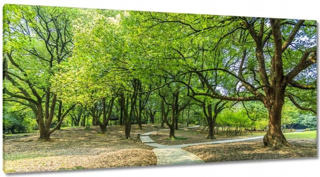 Vászonkép 115x55 Zöldes park úttal