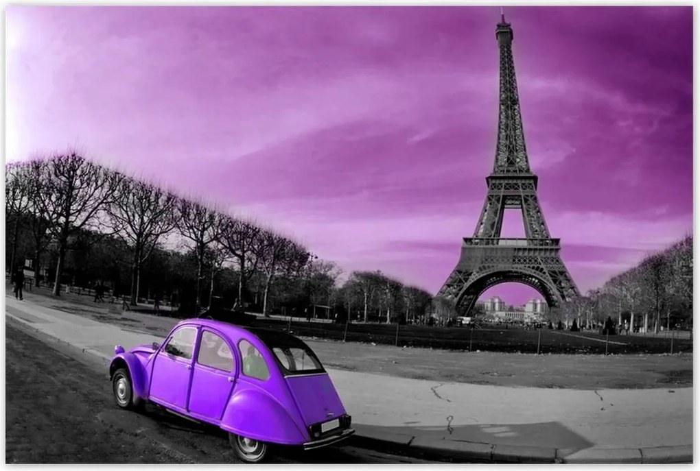 Poszterek 120x80 Lila Citroen