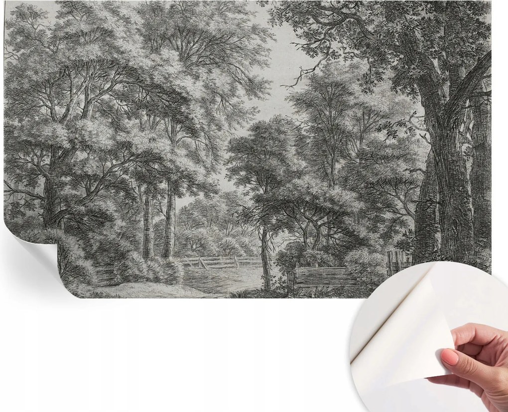 Fotótapéta Fali tapéta Hálószobába és Nappaliba Erdei táj 416x254 cm