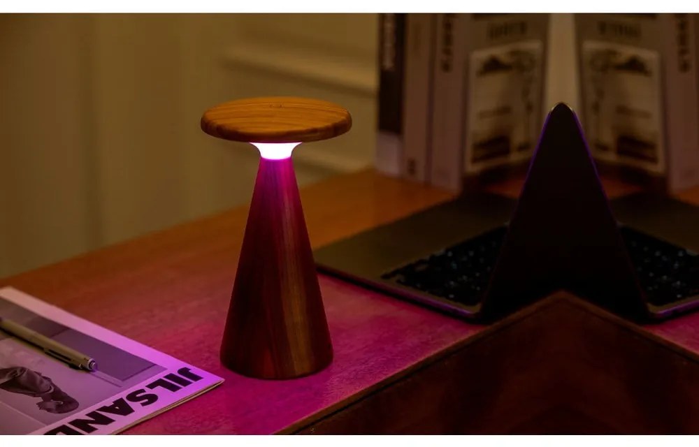 Sötét natúr színű LED asztali lámpa fa búrával (magasság 21 cm) Sylva – Gingko