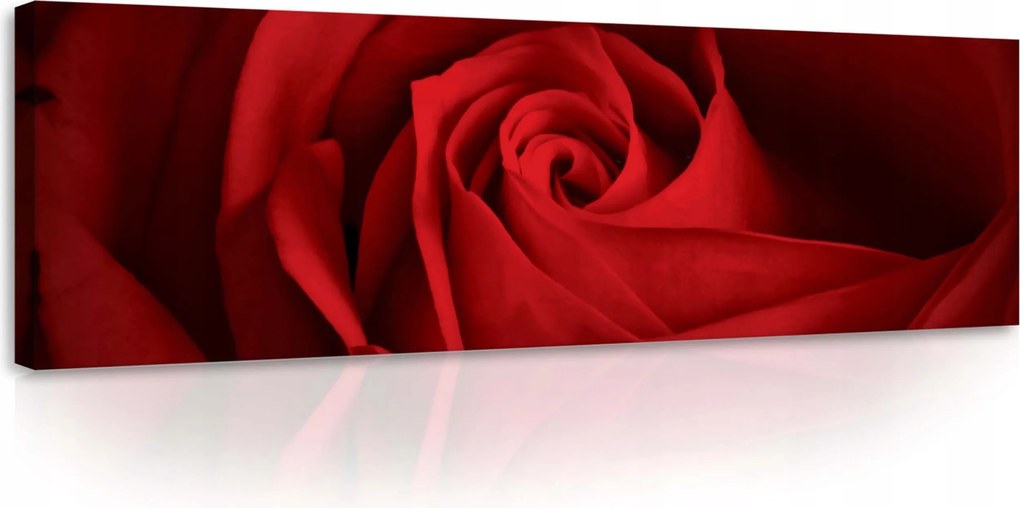 Vászonkép 145x45 Bíbor rózsa csók Elegancia és szenvedély a tiédben