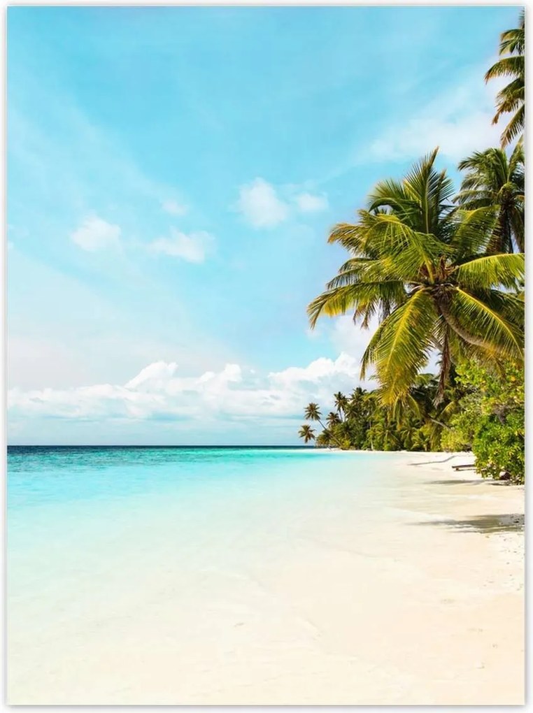 Poszterek 100x135 Trópusok Tájkép Pálmafák