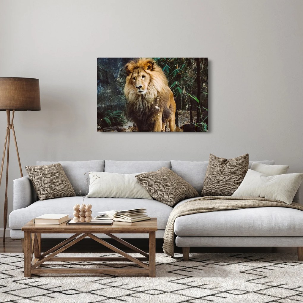 Vászonkép - Oroszlán a vadonban (90x60 cm)