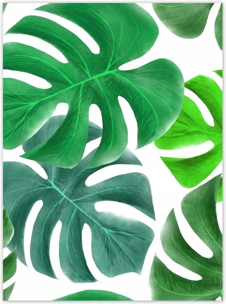 Poszterek 100x135 Levelek Monstery Trópusok