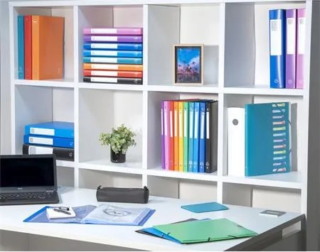 Gyűrűs könyv, 4 gyűrű, 40 mm, A4, PP, EXACOMPTA, piros (EX512805E)