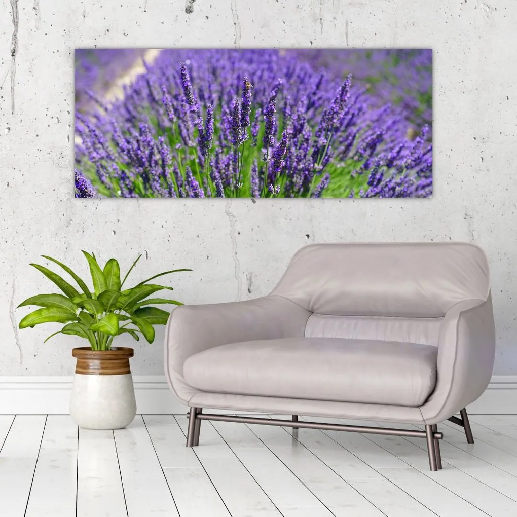 Kép - levandula (120x50 cm)