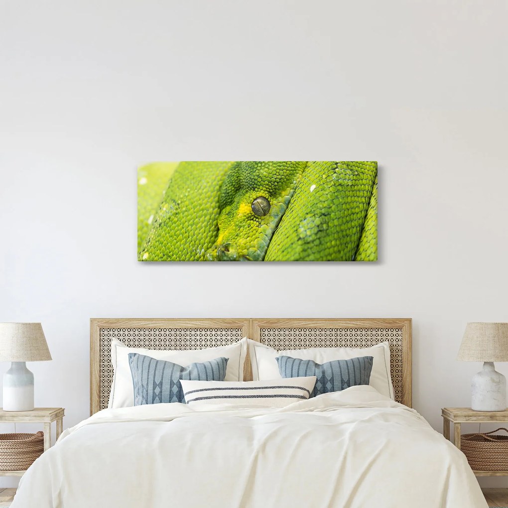 Kígyó képe (120x50 cm)