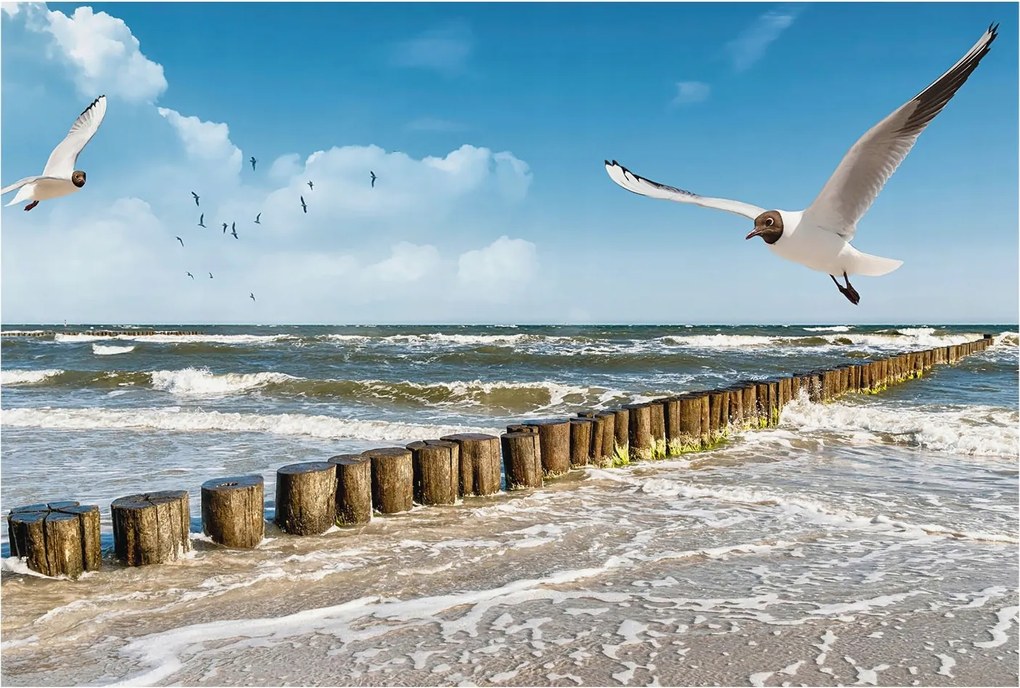 Dekoratív fotótapéta Furnér Flizelin Tengerparti tájkép 104x70 Ragasztó