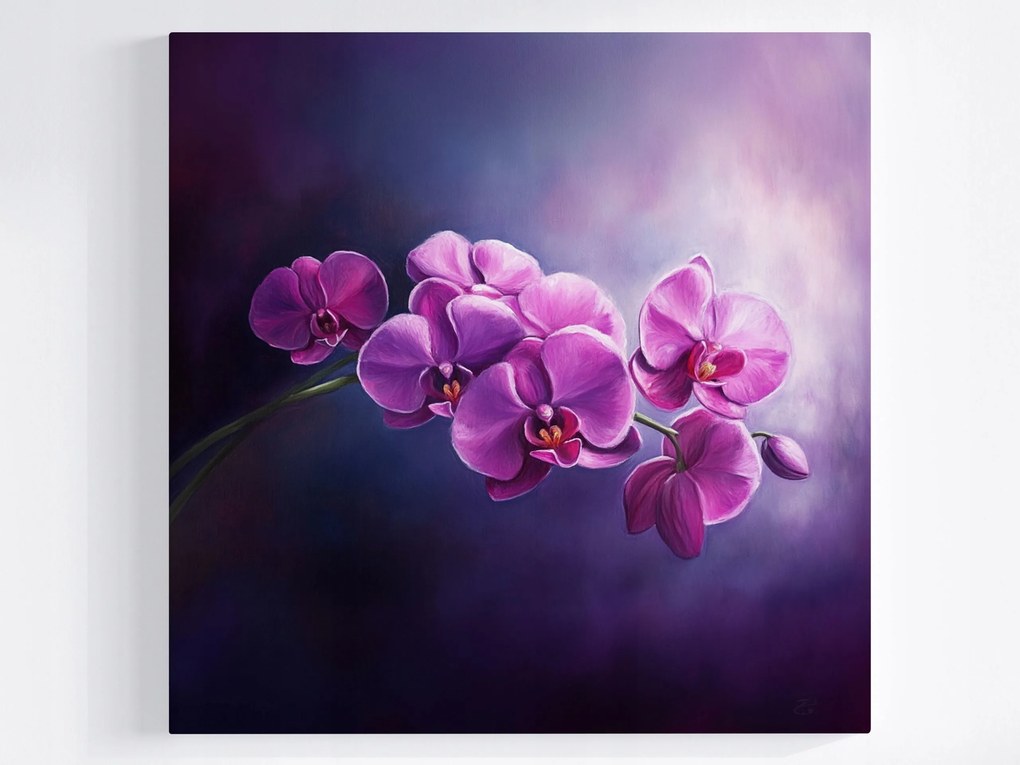 Poszter Természet Virág Orchidea 40x40