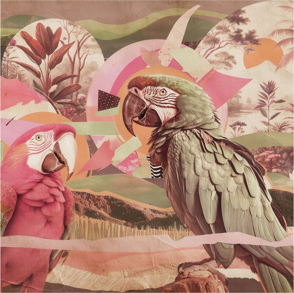 Flizelin fotótapéta Hálószoba Nappali Trópusi madarak 250x250 Ragasztó