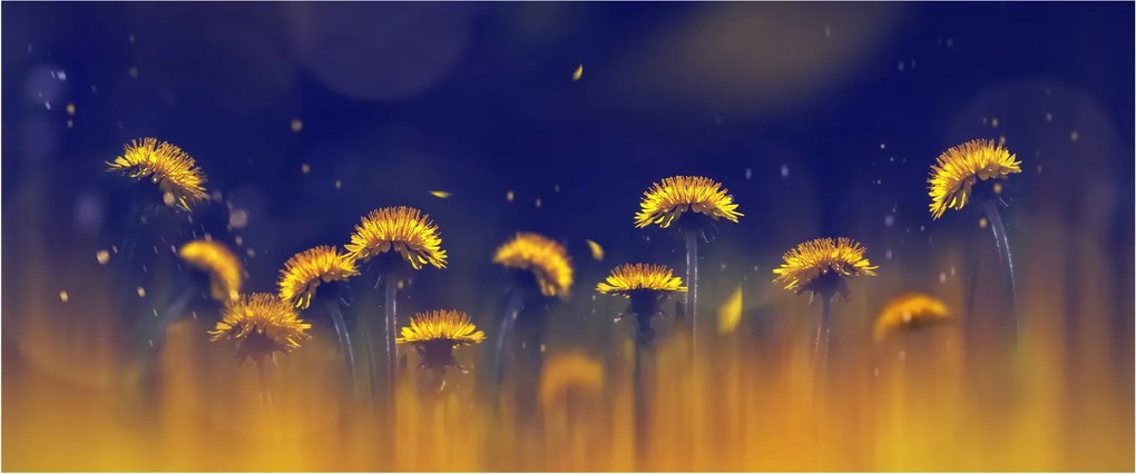 Kép - Pitypang (120x50 cm)