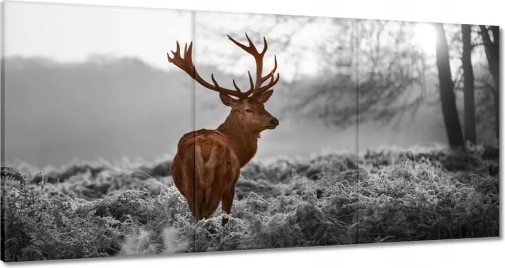 Vászonkép 180x90 Méltóságteljes szarvas szarvakkal