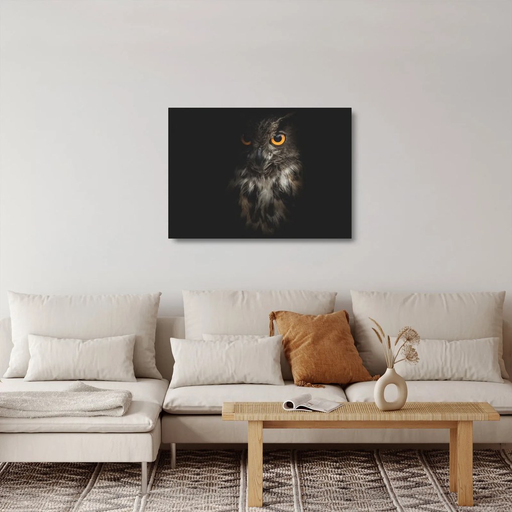 Bagoly képe (üvegen) (70x50 cm)