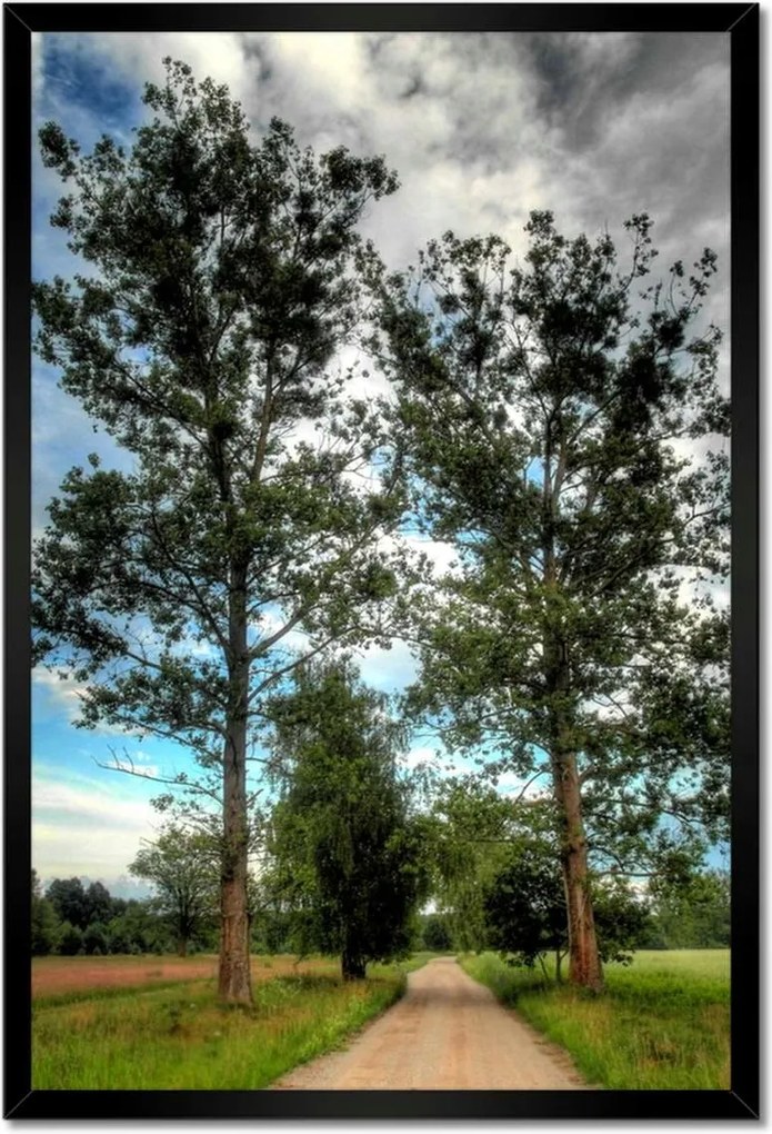 Poszterek keretben 40x60 Vidéki út