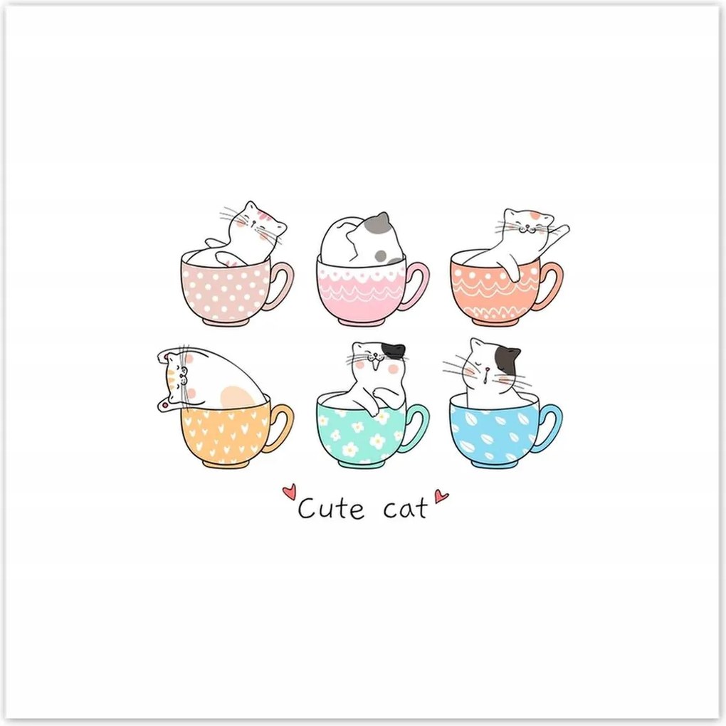 Poszterek 30x30 Cica Cicák