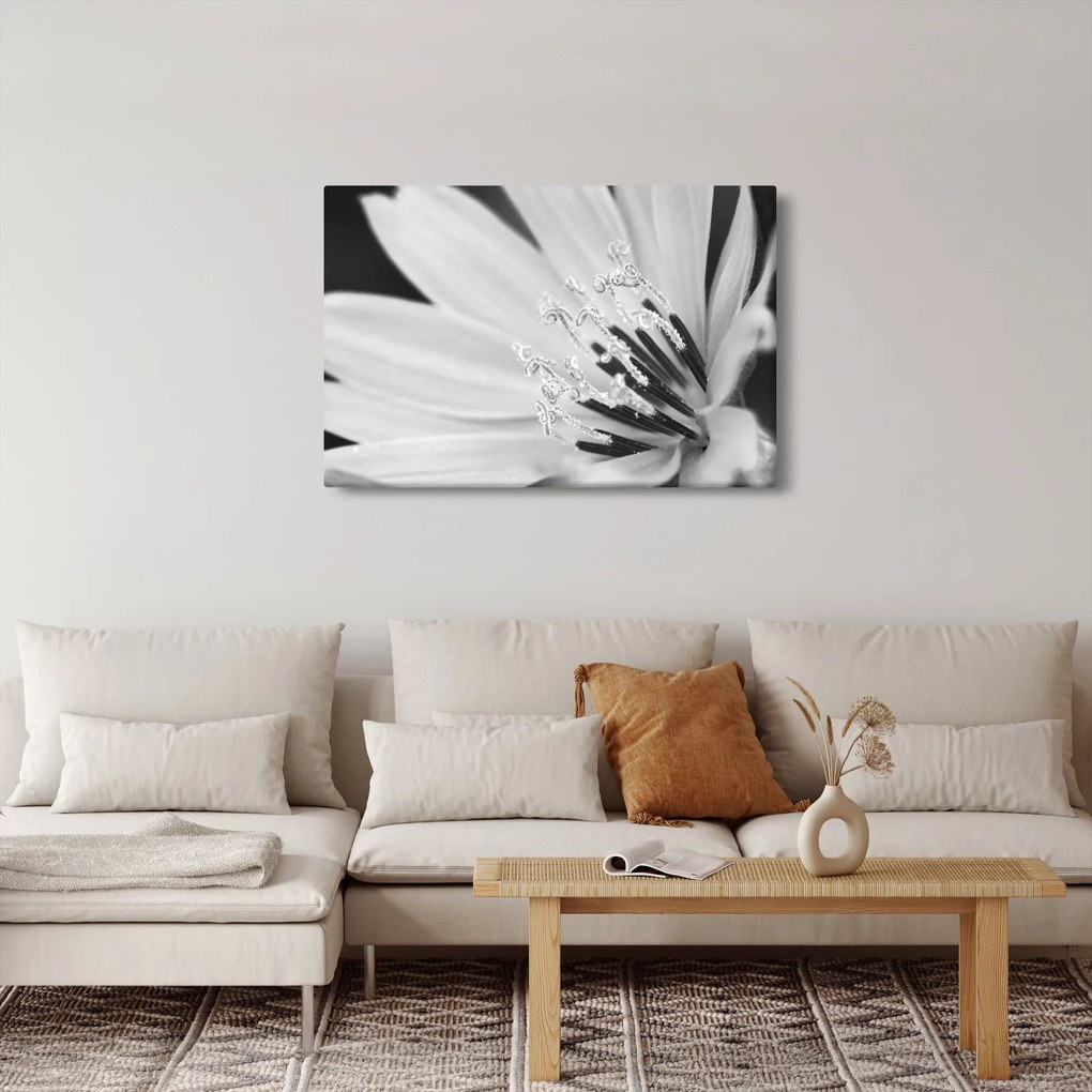 Kép - Fekete-fehér virág (90x60 cm)