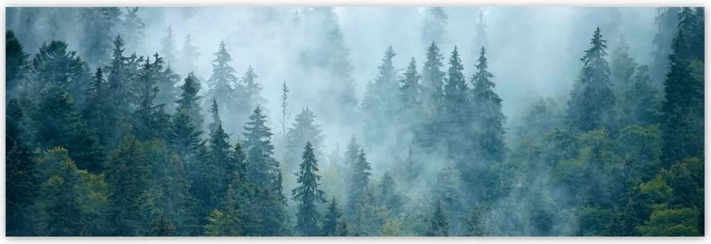 Poszterek 200x66 Erdő a ködben Utazás