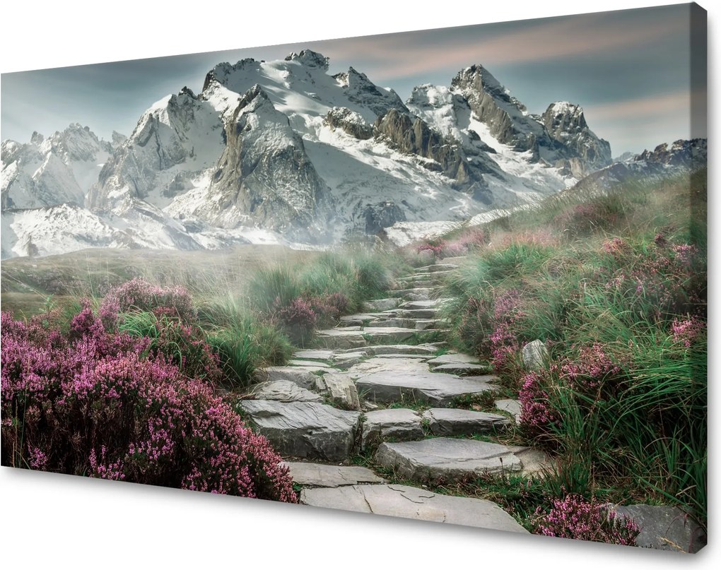 Vászonkép Természet Hanga a hegyekben 40x30 cm