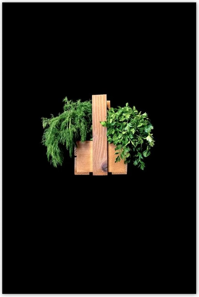 Poszterek 80x120 Petrezselyem Kapor gyógynövények