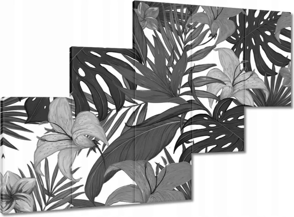 Festmények 150x105 Fekete-fehér monstera