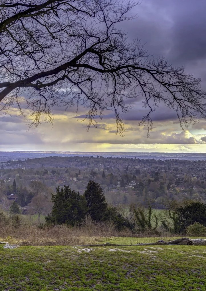 Poszter 42x59,4cm Reigate Hill 2, Assaf Frank