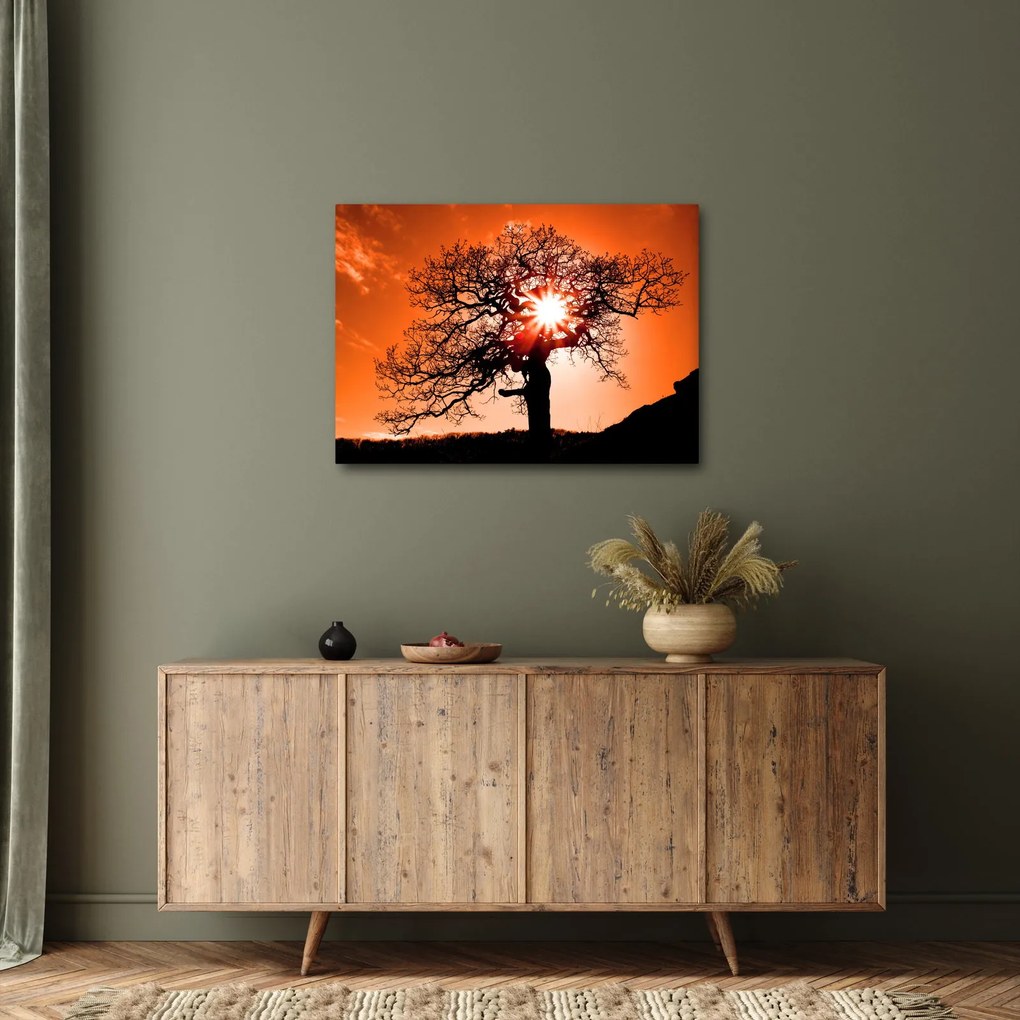 Kép - Tölgy napnyugtakor (70x50 cm)