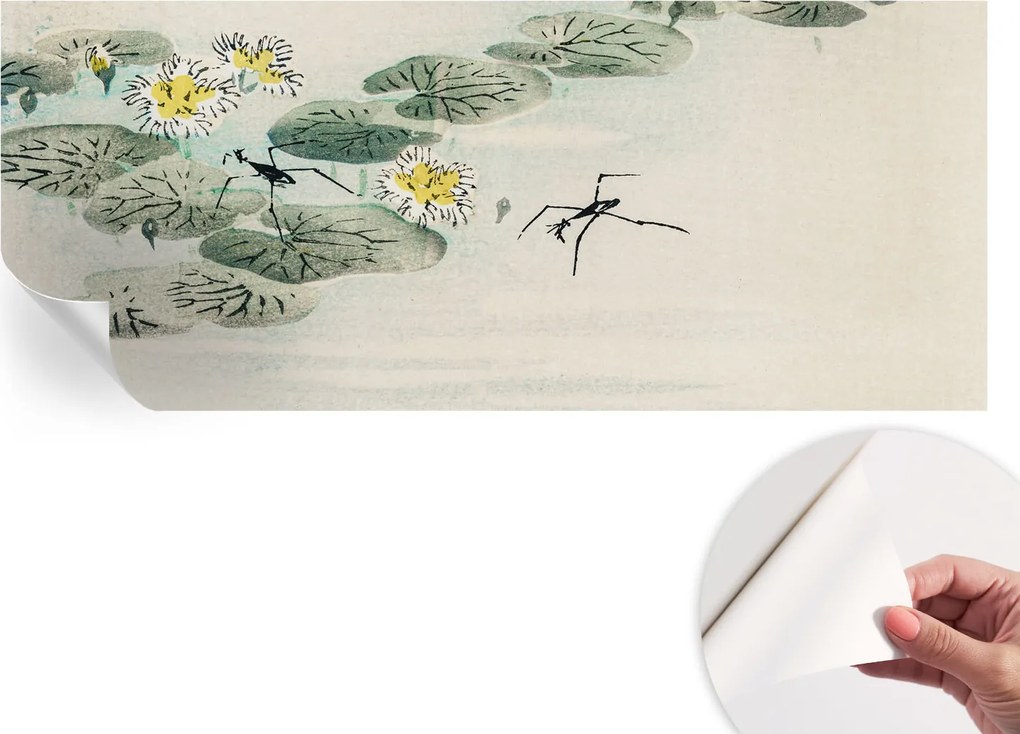 Öntapadós fotótapéta Nappaliba és Hálószobába Csendes víz 250x104