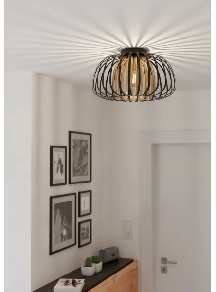 Eglo 99664 - Mennyezeti lámpa ENCINITOS 1xE27/40W/230V