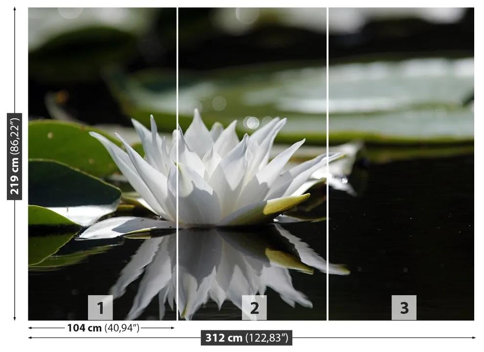 Fotótapéta white Lotus 104x70 cm