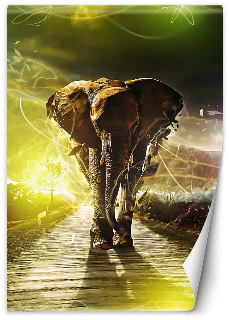 Gario Fotótapéta Varázslatos elefánt Anyag: Vlies, Méret: 200 x 280 cm