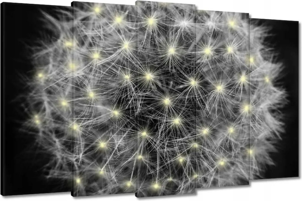 Vászonkép 150x95 Pitypang Virág Virágok