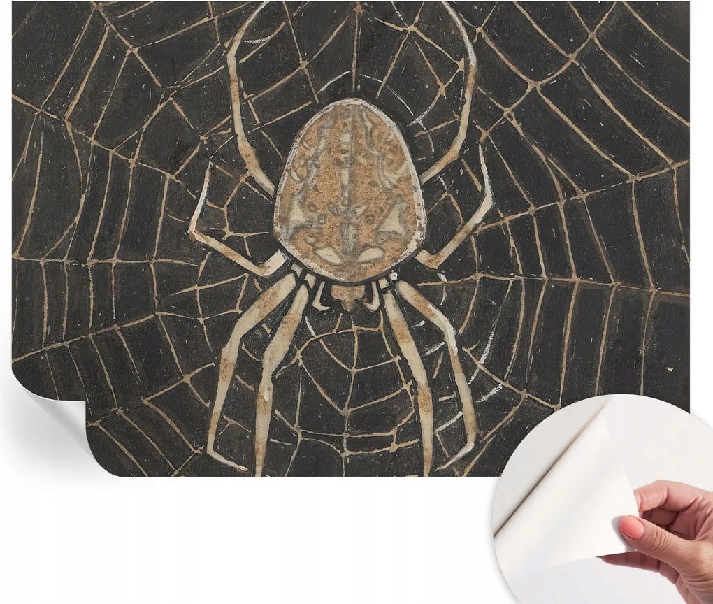 Öntapadós tapéta Divatos 3D fali ragasztóval Pókháló 208x146 cm