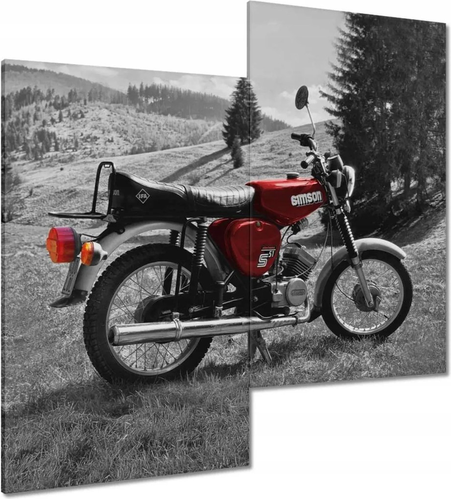 Vászonkép 60x60 Piros Simson S51 E