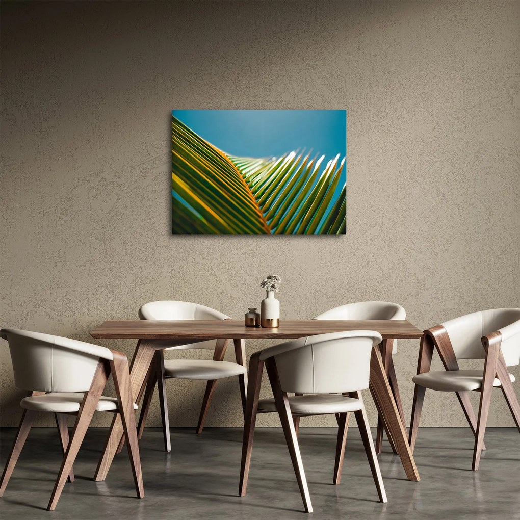 Kép - A pálmalevél részlete (70x50 cm)