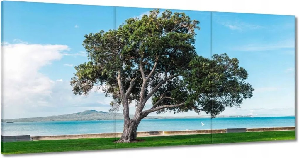 Festmények 120x60 Megtörhetetlen