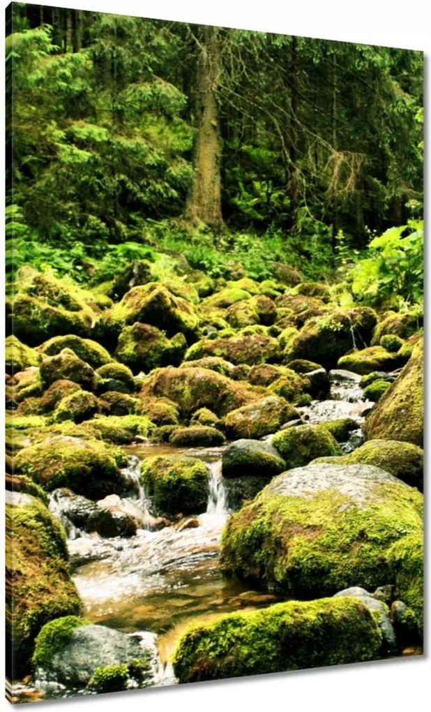 Vászonkép 70x100 Tátra Lengyel hegyek Kilátás