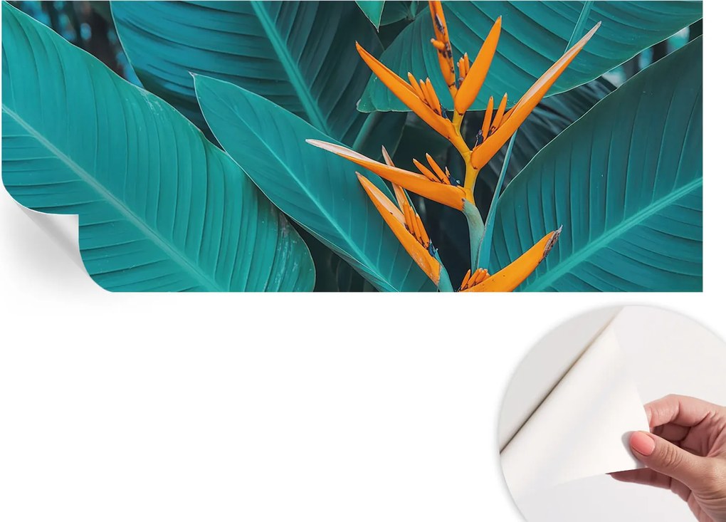 Öntapadós tapéta Divatos 3D fali ragasztóval Leveles virágok 250x104 cm