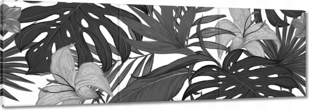 Vászonkép 120x40 Fekete-fehér monstera